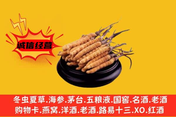 昆明官渡区回收虫草